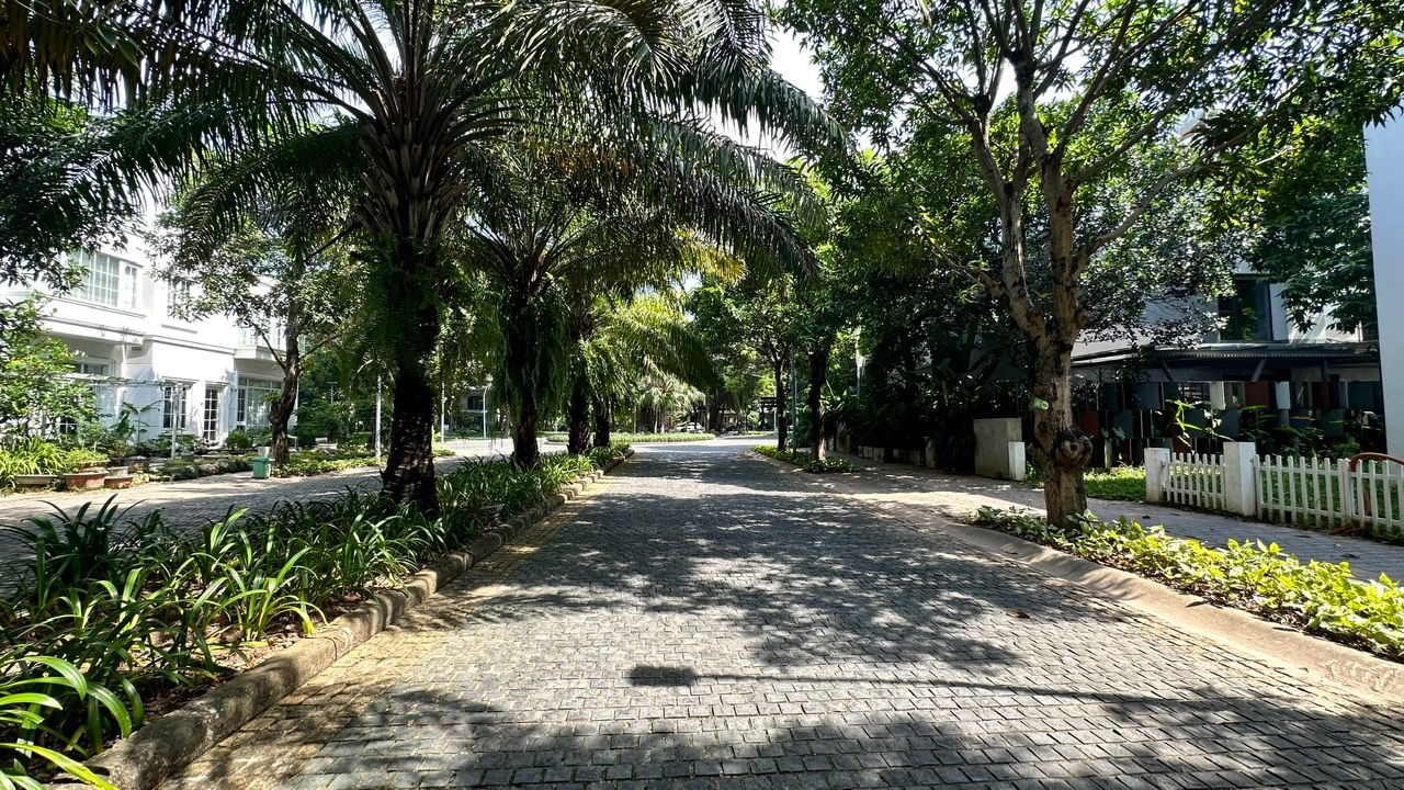 Trục đường chính khu biệt thự Mimosa